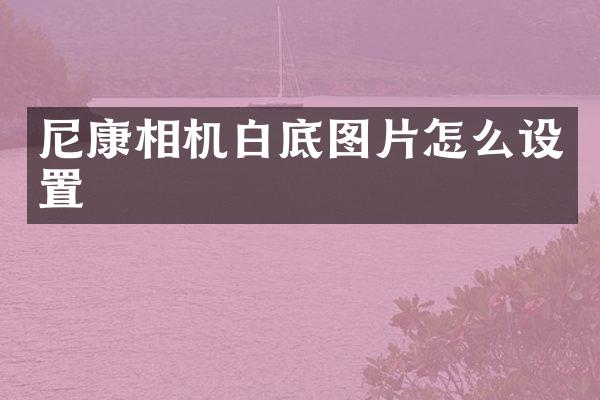 尼康相机白底图片怎么设置