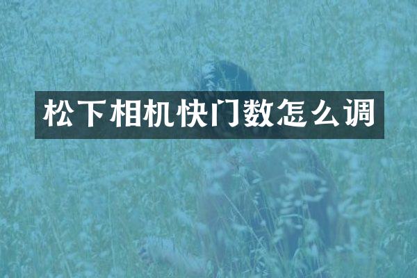 相机快门数怎么调