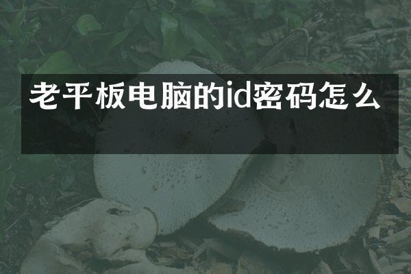 老平板电脑的id密码怎么搞