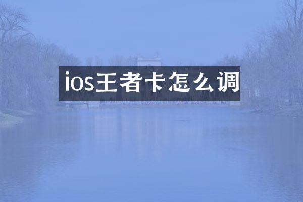 ios王者卡怎么调