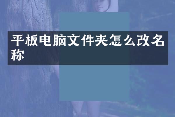 平板电脑文件夹怎么改名称