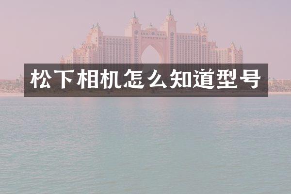 相机怎么知道型号