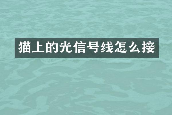 猫上的光信号线怎么接