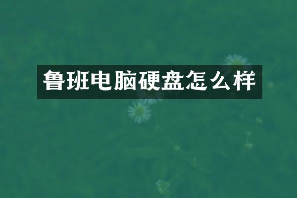 鲁班电脑硬盘怎么样