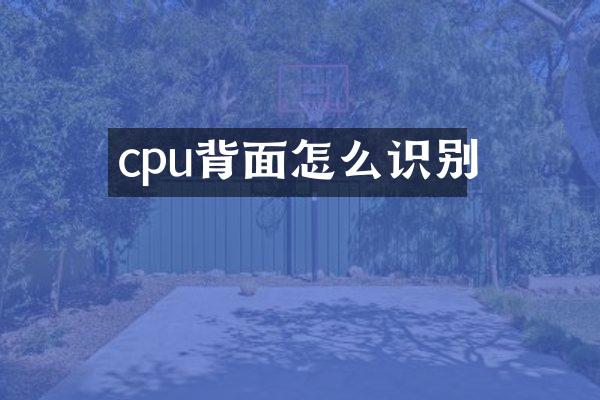 cpu背面怎么识别
