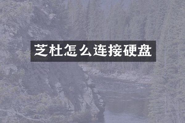芝杜怎么连接硬盘