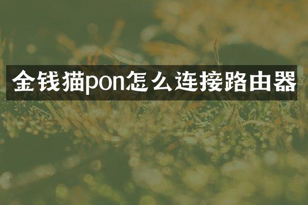 金钱猫pon怎么连接路由器