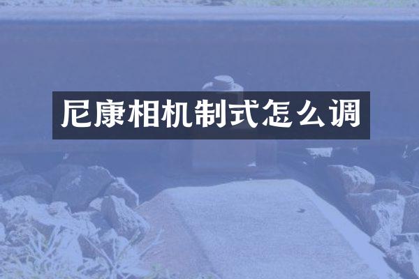 尼康相机制式怎么调