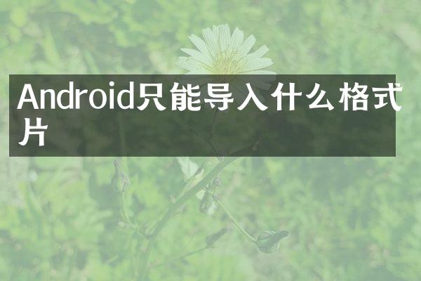 Android只能导入什么格式图片