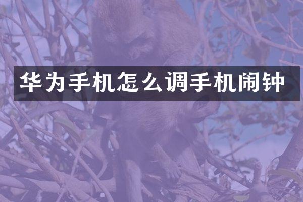 华为手机怎么调手机闹钟