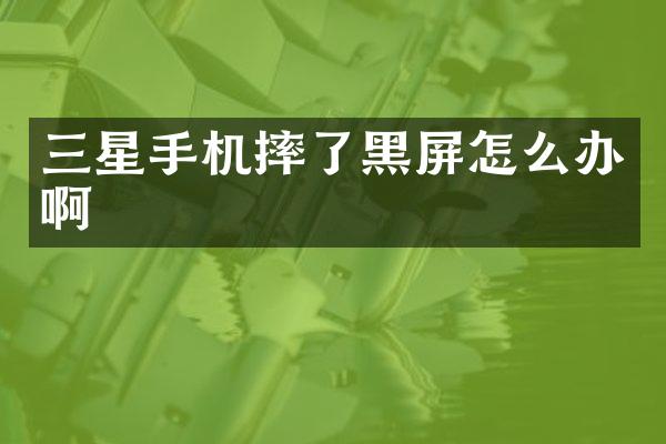 三星手机摔了黑屏怎么办啊
