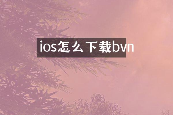 ios怎么下载bvn