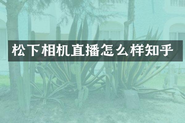 相机直播怎么样知乎