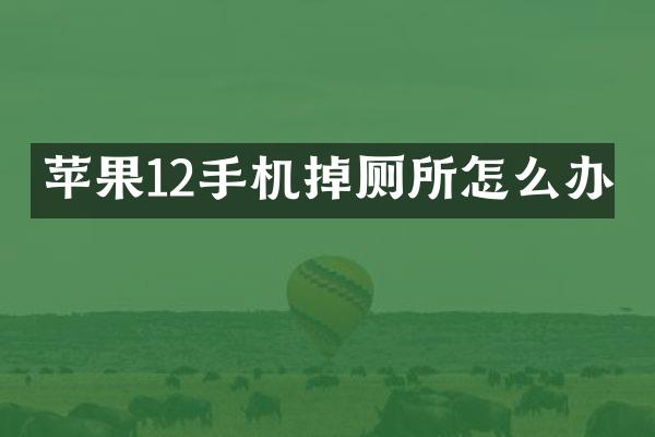 苹果12手机掉厕所怎么办