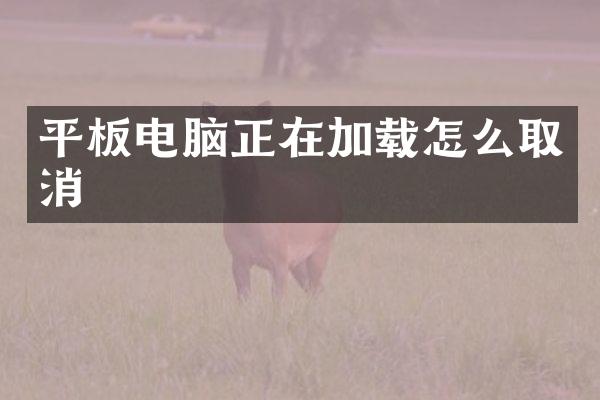 平板电脑正在加载怎么取消