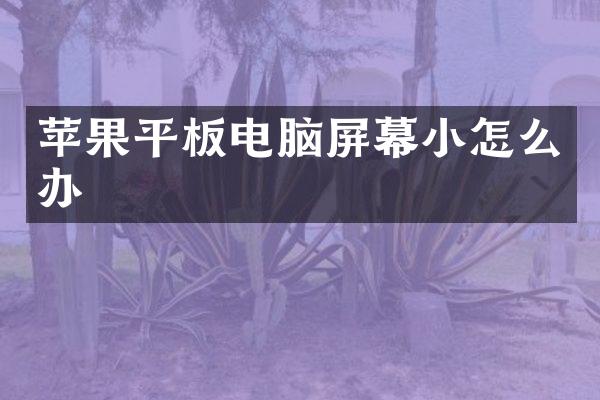 苹果平板电脑屏幕小怎么办