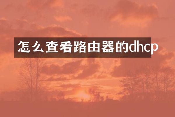 怎么查看路由器的dhcp