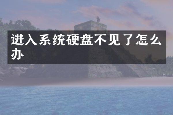 进入系统硬盘不见了怎么办