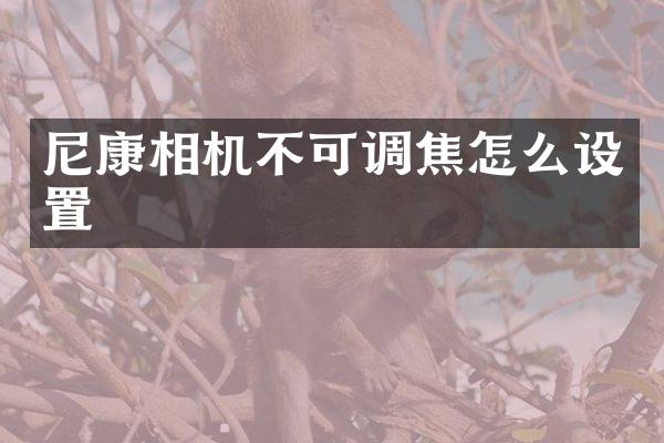 尼康相机不可调焦怎么设置