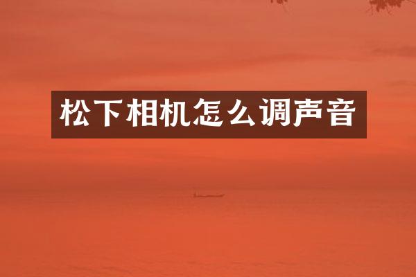 相机怎么调声音