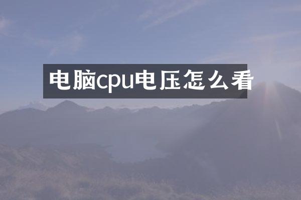 电脑cpu电压怎么看
