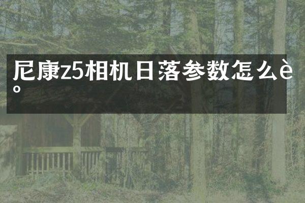 尼康z5相机日落参数怎么调