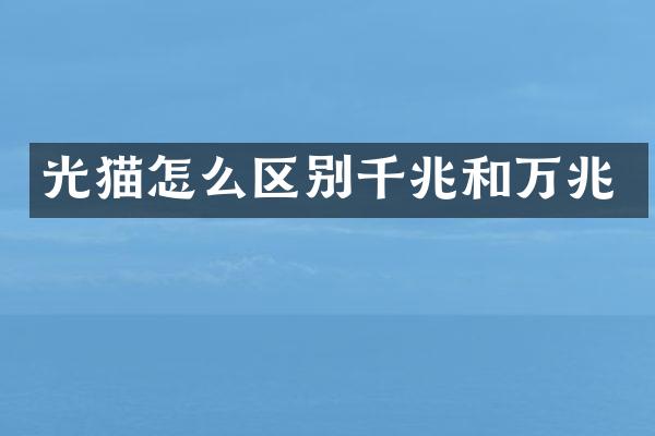 光猫怎么区别千兆和万兆