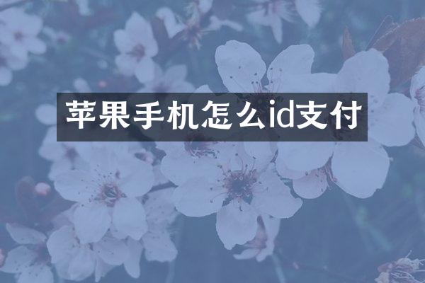 苹果手机怎么id支付