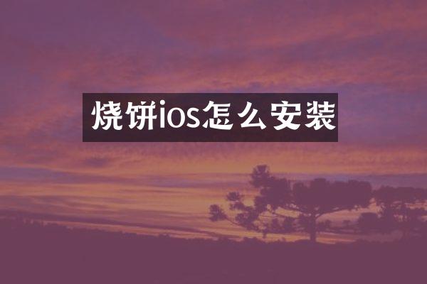 烧饼ios怎么安装