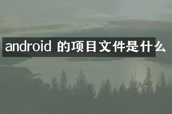 android 的项目文件是什么