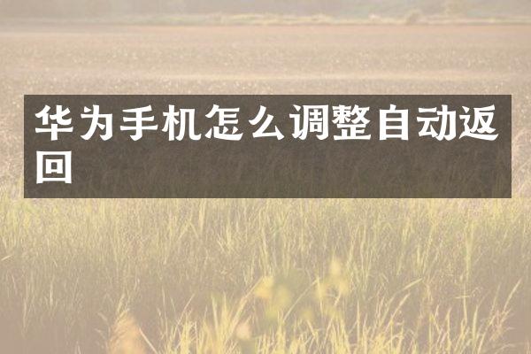 华为手机怎么调整自动返回
