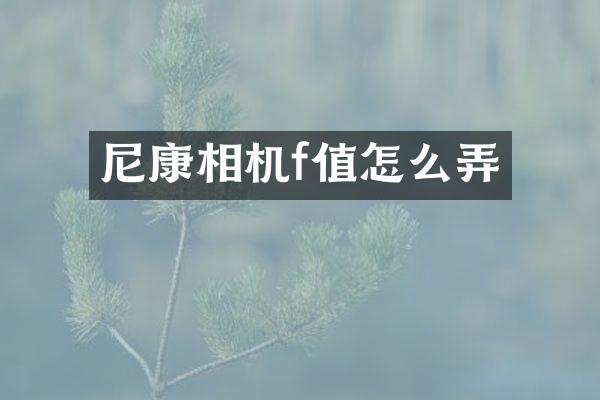 尼康相机f值怎么弄