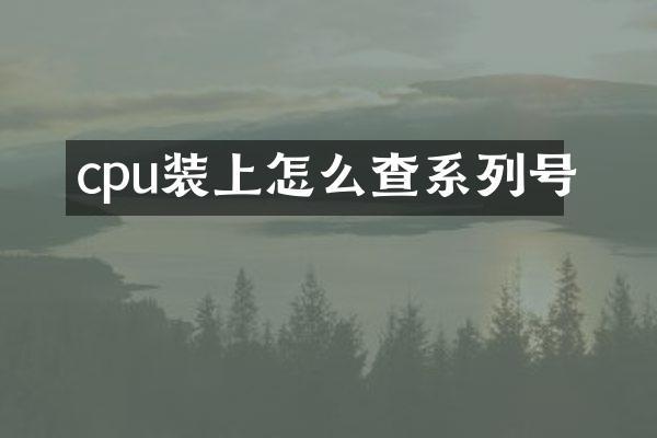cpu装上怎么查系列号