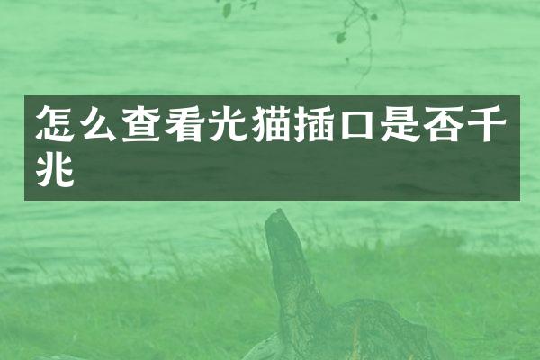 怎么查看光猫插口是否千兆