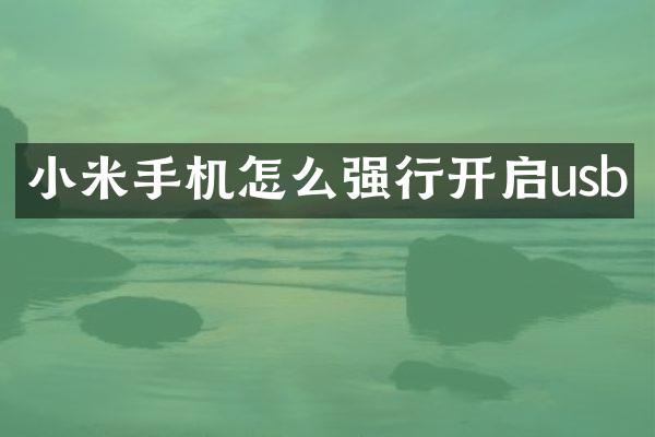 小米手机怎么强行开启usb