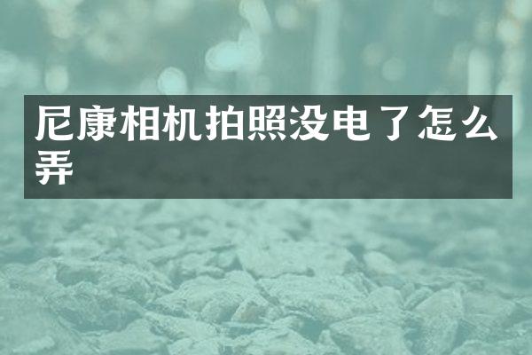 尼康相机拍照没电了怎么弄