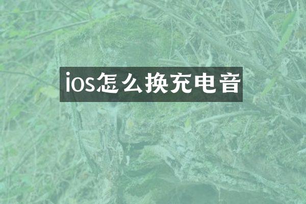 ios怎么换充电音