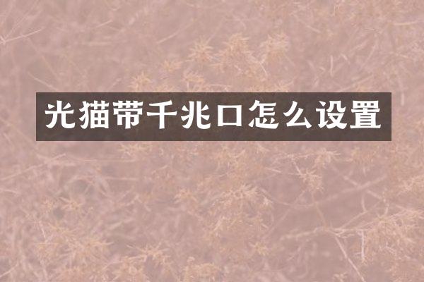 光猫带千兆口怎么设置