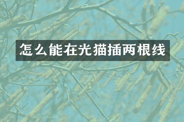 怎么能在光猫插两根线