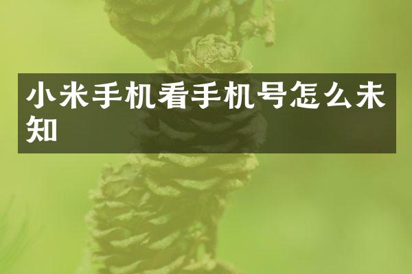 小米手机看手机号怎么未知