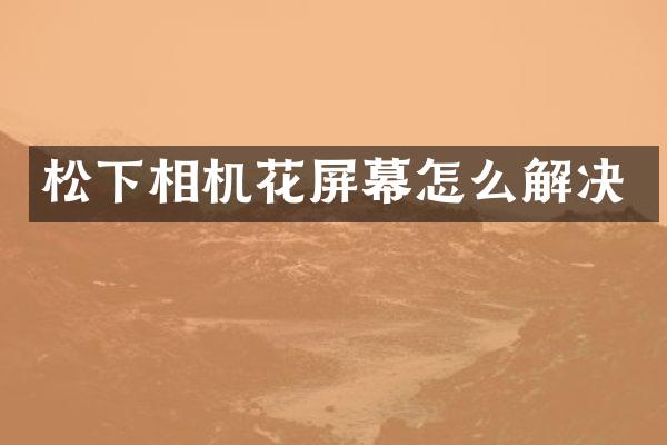 相机花屏幕怎么解决