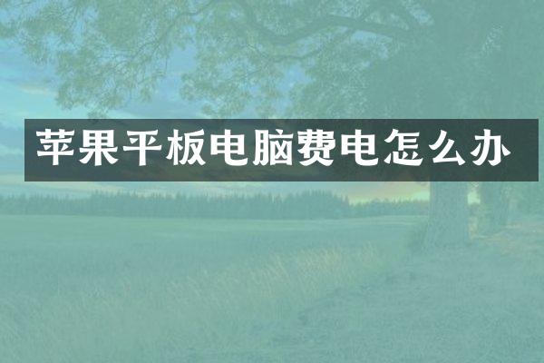 苹果平板电脑费电怎么办