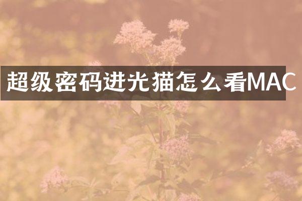 超级密码进光猫怎么看MAC
