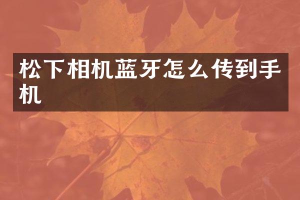 相机蓝牙怎么传到手机