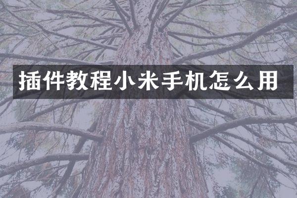 插件教程小米手机怎么用