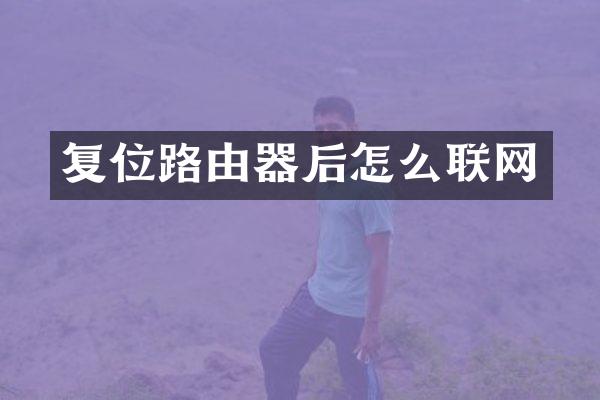 复位路由器后怎么联网