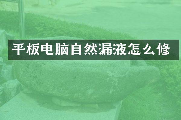 平板电脑自然漏液怎么修