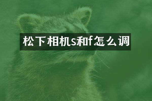 相机s和f怎么调