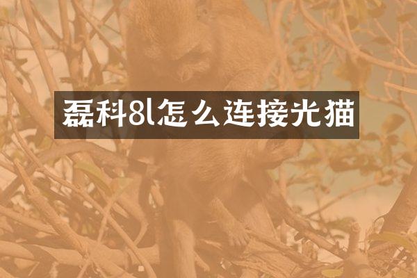 磊科8l怎么连接光猫