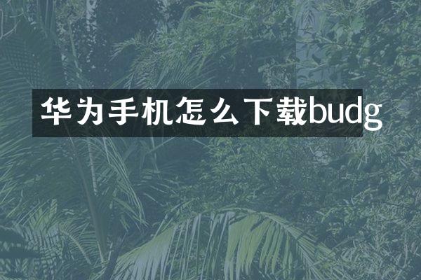 华为手机怎么下载budg
